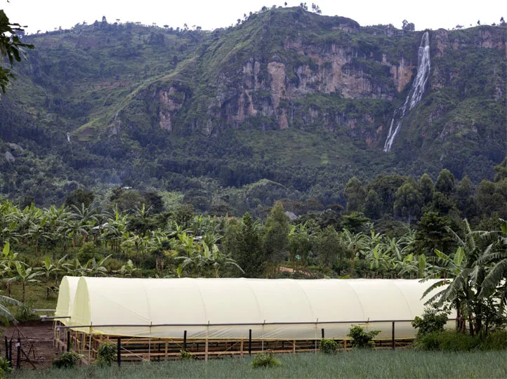 Mt. Elgon background